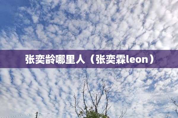 张奕龄哪里人（张奕霖leon）