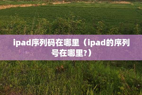 ipad序列码在哪里（ipad的序列号在哪里?）