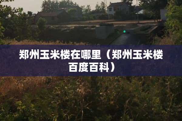 郑州玉米楼在哪里（郑州玉米楼百度百科）