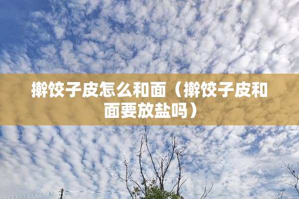 擀饺子皮怎么和面（擀饺子皮和面要放盐吗）