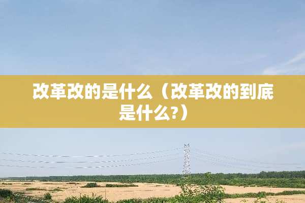 改革改的是什么（改革改的到底是什么?）