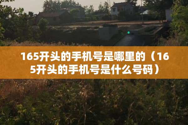 165开头的手机号是哪里的（165开头的手机号是什么号码）