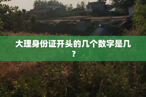 大理***开头的几个数字是几？