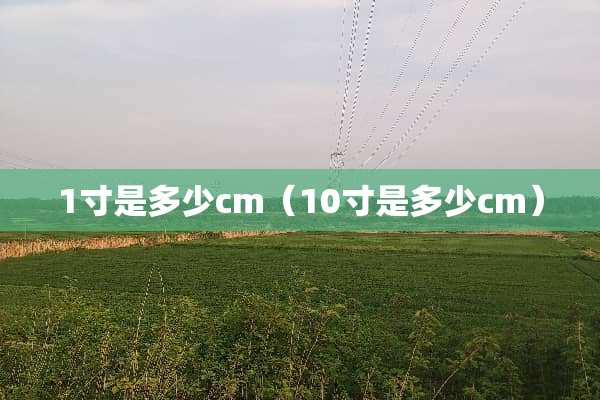 1寸是多少cm（10寸是多少cm）