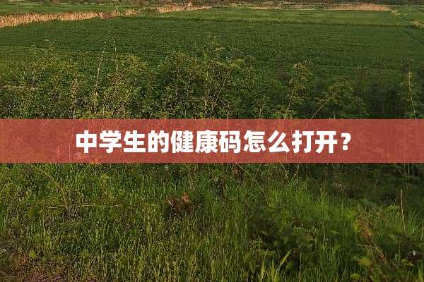 中学生的健康码怎么打开？