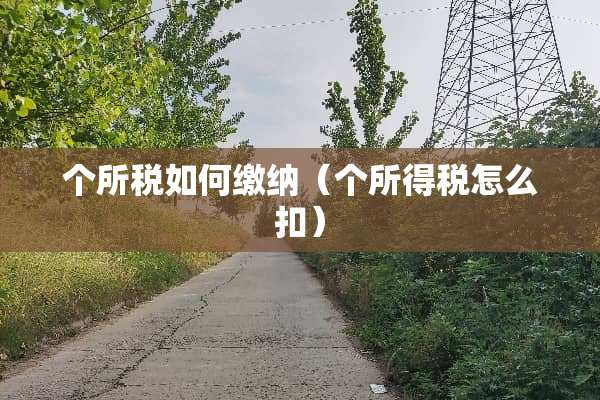 个所税如何缴纳（个所得税怎么扣）