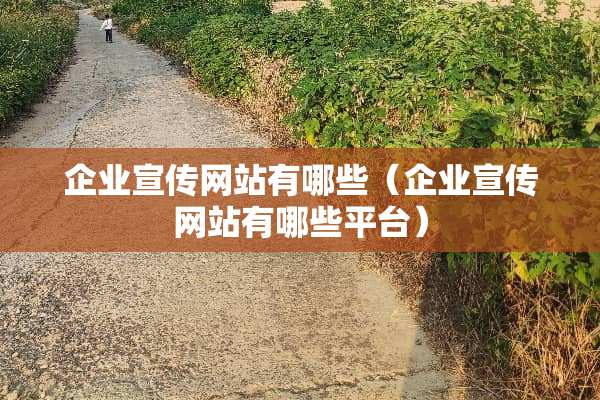 企业宣传网站有哪些（企业宣传网站有哪些平台）