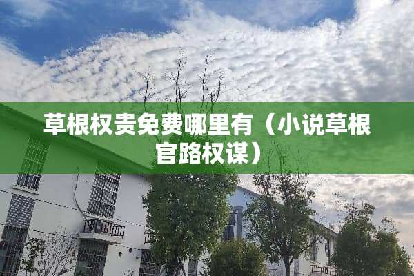 草根权贵免费哪里有（小说草根官路权谋）
