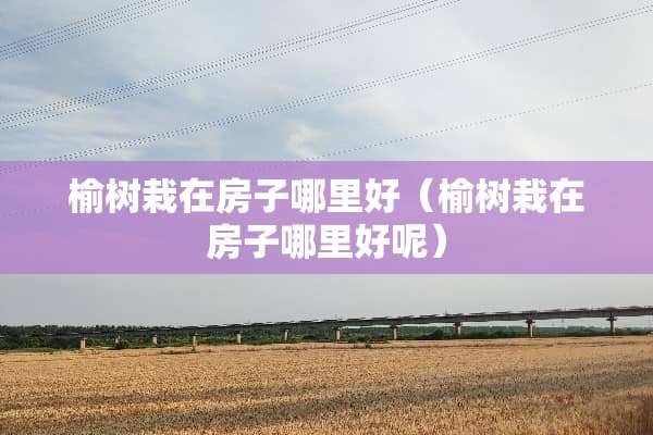 榆树栽在房子哪里好（榆树栽在房子哪里好呢）