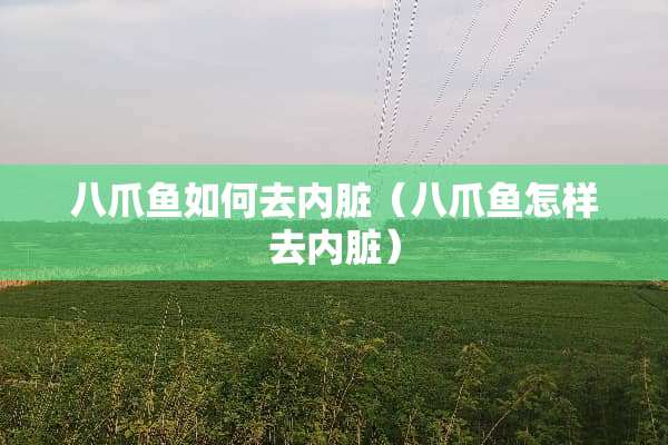 八爪鱼如何去内脏（八爪鱼怎样去内脏）