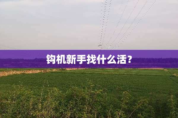 钩机新手找什么活？