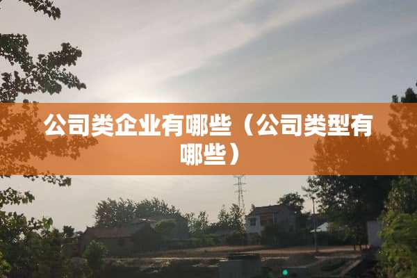 公司类企业有哪些（公司类型有哪些）