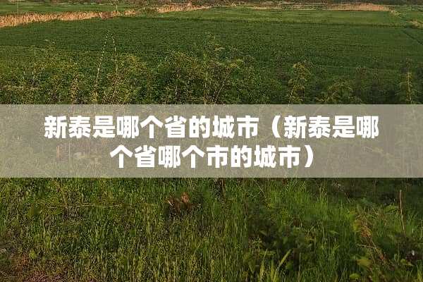 新泰是哪个省的城市（新泰是哪个省哪个市的城市）