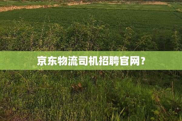 京东物流司机招聘官网？