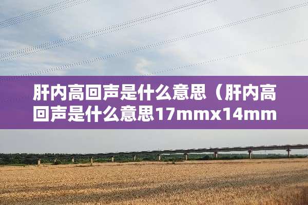 肝内高回声是什么意思（肝内高回声是什么意思17mmx14mm在胆囊旁）