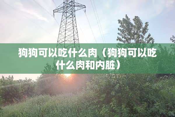 狗狗可以吃什么肉（狗狗可以吃什么肉和内脏）