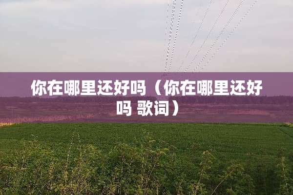 你在哪里还好吗（你在哪里还好吗 歌词）