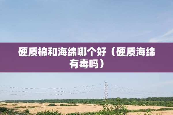 硬质棉和海绵哪个好（硬质海绵有毒吗）
