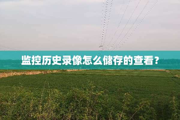 监控历史录像怎么储存的查看？