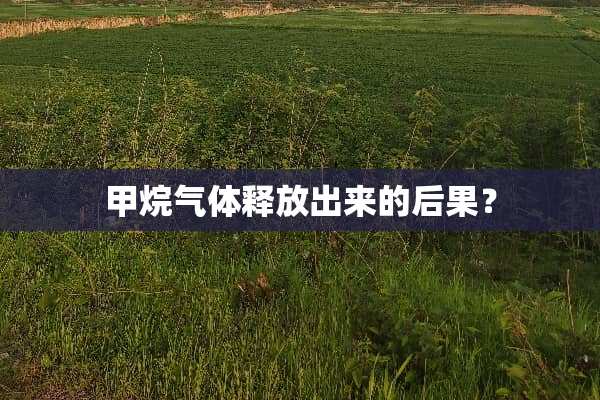 甲烷气体释放出来的后果？
