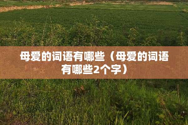 母爱的词语有哪些（母爱的词语有哪些2个字）