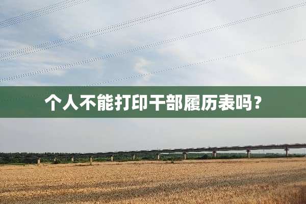 个人不能打印干部履历表吗？