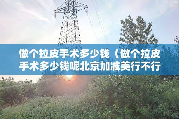 做个拉皮手术多少钱（做个拉皮手术多少钱呢北京加减美行不行）
