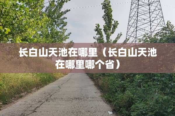 长白山天池在哪里（长白山天池在哪里哪个省）