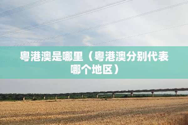 粤港澳是哪里（粤港澳分别代表哪个地区）