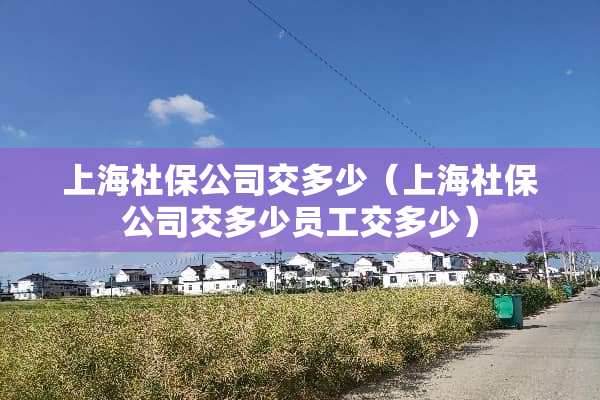 上海社保公司交多少（上海社保公司交多少员工交多少）