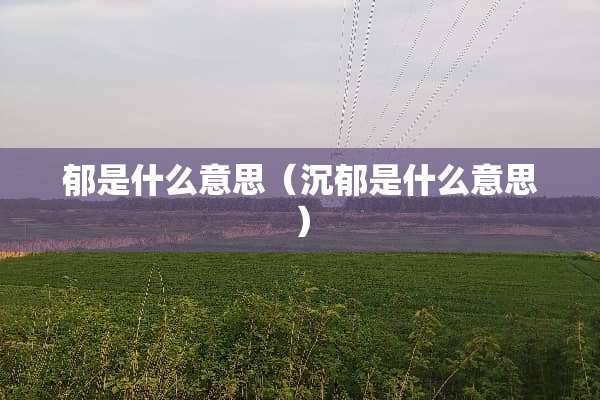郁是什么意思（沉郁是什么意思）
