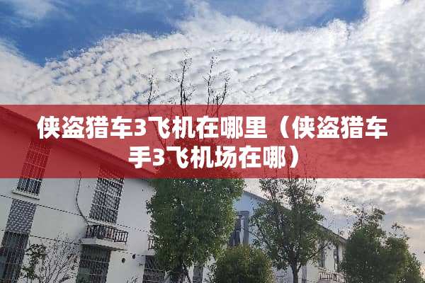 侠盗猎车3飞机在哪里（侠盗猎车手3飞机场在哪）