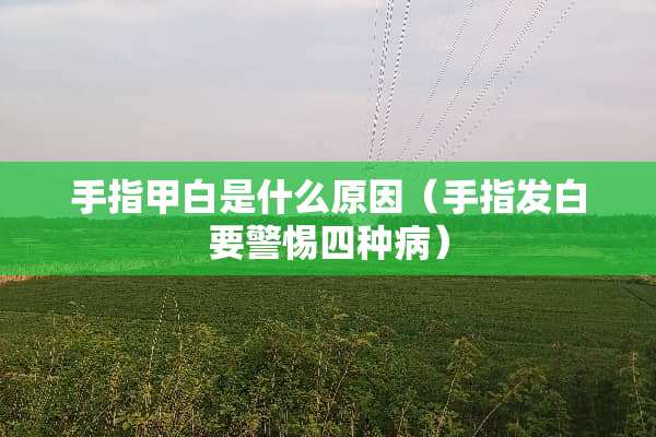 手指甲白是什么原因（手指发白要警惕四种病）