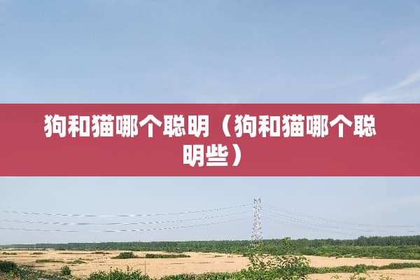 狗和猫哪个聪明（狗和猫哪个聪明些）