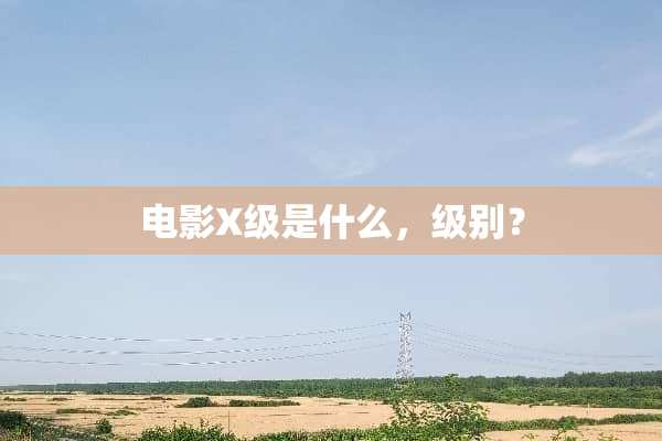电影X级是什么，级别？