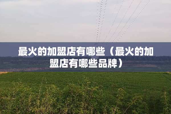 最火的加盟店有哪些（最火的加盟店有哪些品牌）