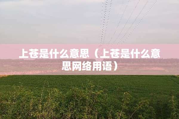 上苍是什么意思（上苍是什么意思网络用语）