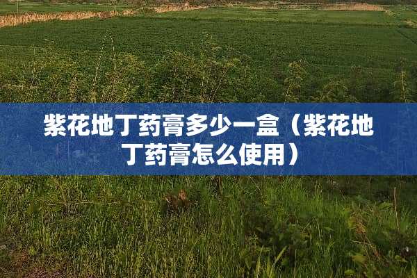 紫花地丁药膏多少一盒（紫花地丁药膏怎么使用）
