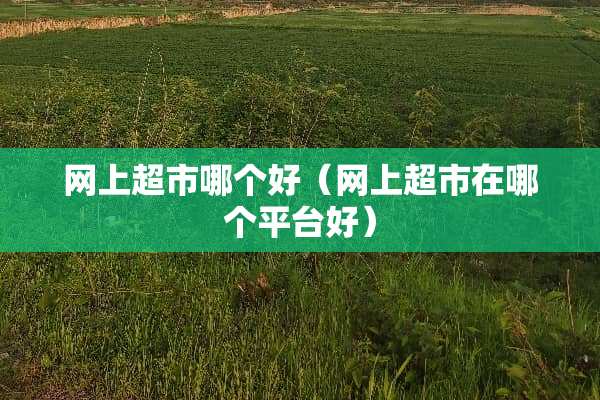 网上超市哪个好（网上超市在哪个平台好）