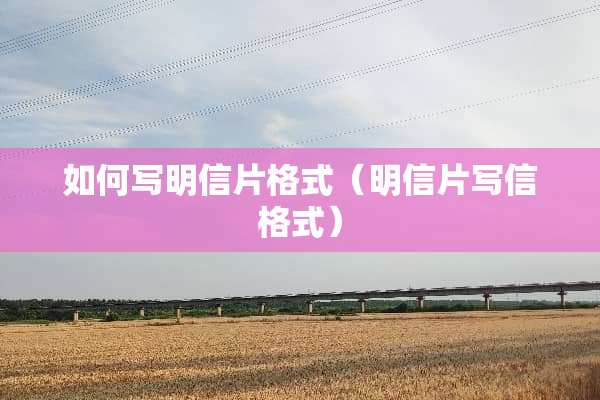 如何写明信片格式（明信片写信格式）