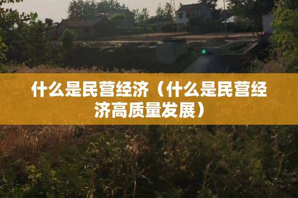 什么是民营经济（什么是民营经济高质量发展）
