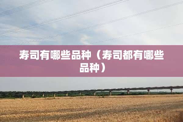 寿司有哪些品种（寿司都有哪些品种）