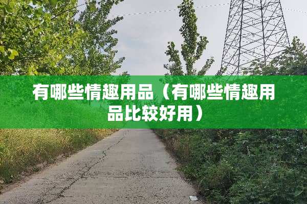 有哪些****（有哪些****比较好用）
