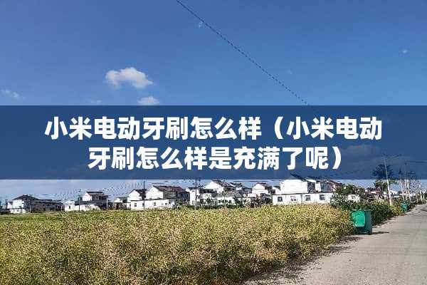 小米电动牙刷怎么样（小米电动牙刷怎么样是充满了呢）