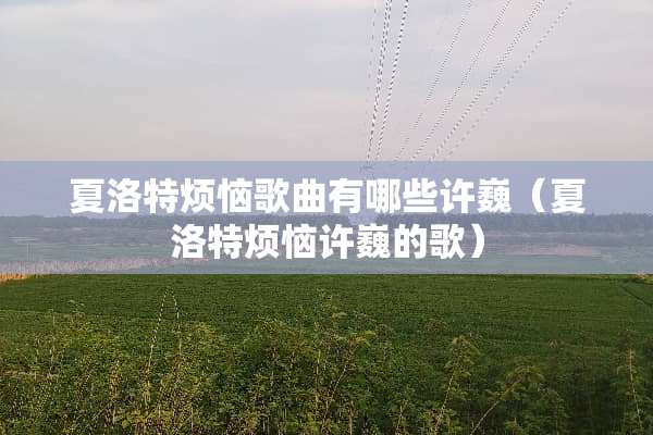 夏洛特烦恼歌曲有哪些许巍（夏洛特烦恼许巍的歌）