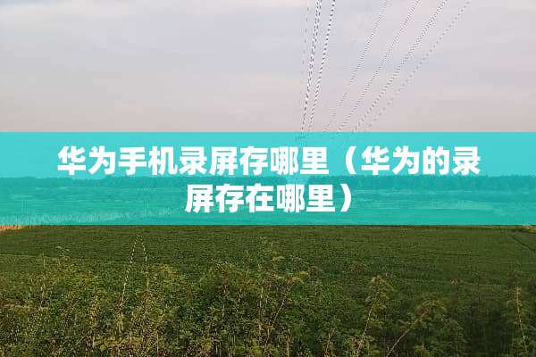 华为手机录屏存哪里（华为的录屏存在哪里）