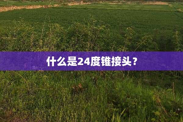 什么是24度锥接头？