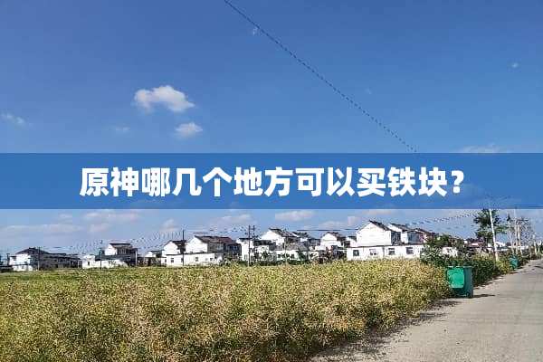 原神哪几个地方可以买铁块？