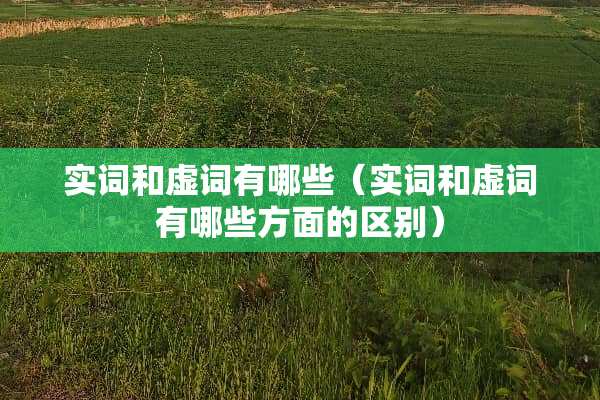 实词和虚词有哪些（实词和虚词有哪些方面的区别）