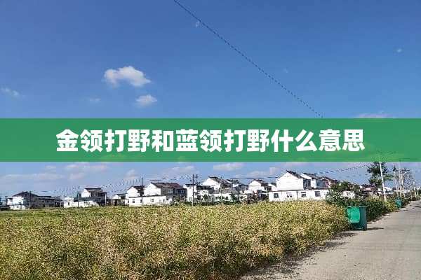 金领打野和蓝领打野什么意思